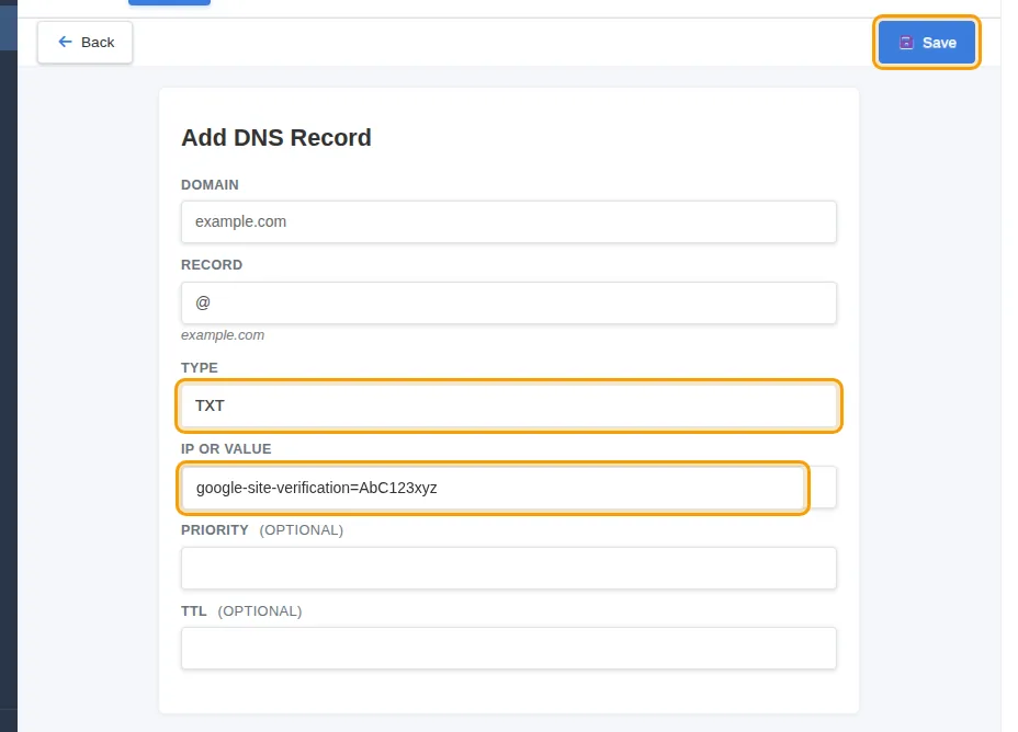A TXT record ready to save