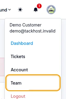The Team link in the account menu