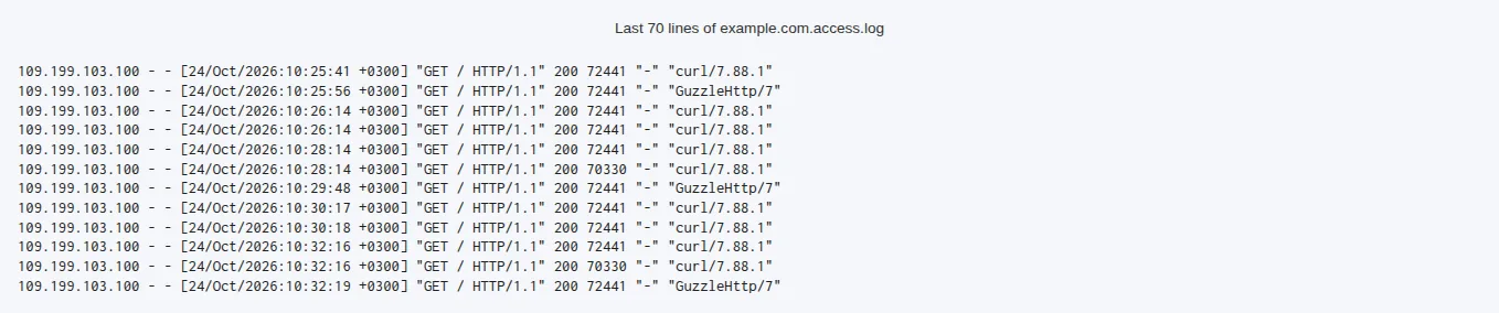 The access log of a domain