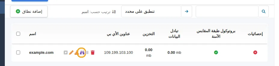 زر عرض السجلات بجوار النطاق